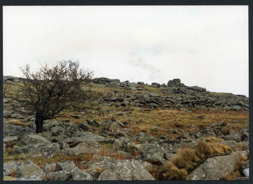 An image from the Dartmoor Trust Archive