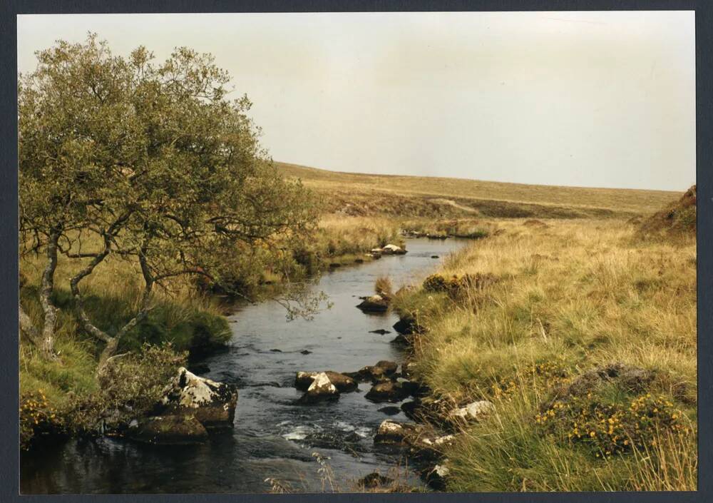 An image from the Dartmoor Trust Archive