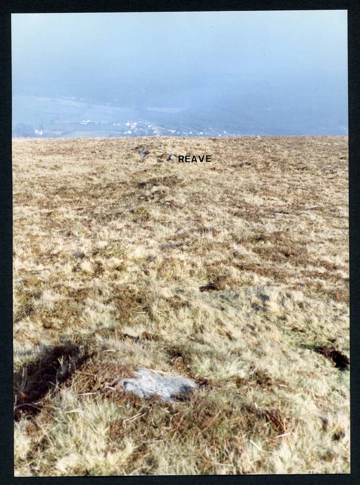 An image from the Dartmoor Trust Archive