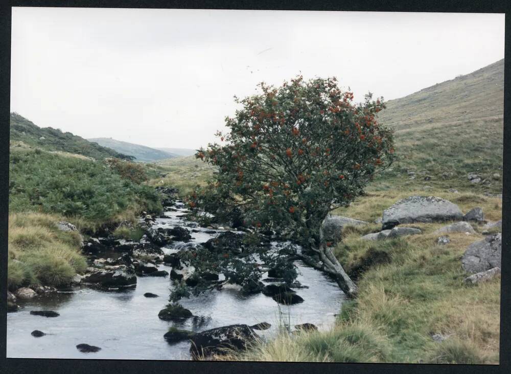 An image from the Dartmoor Trust Archive