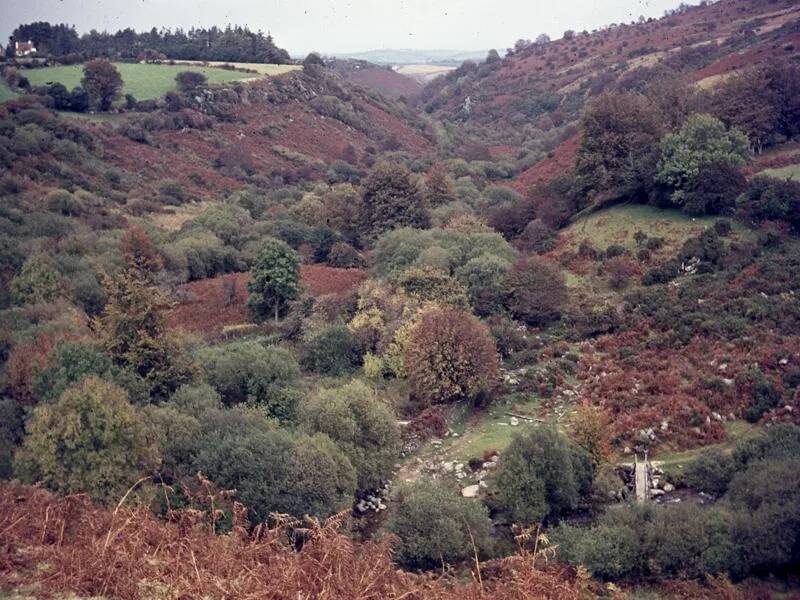 An image from the Dartmoor Trust Archive