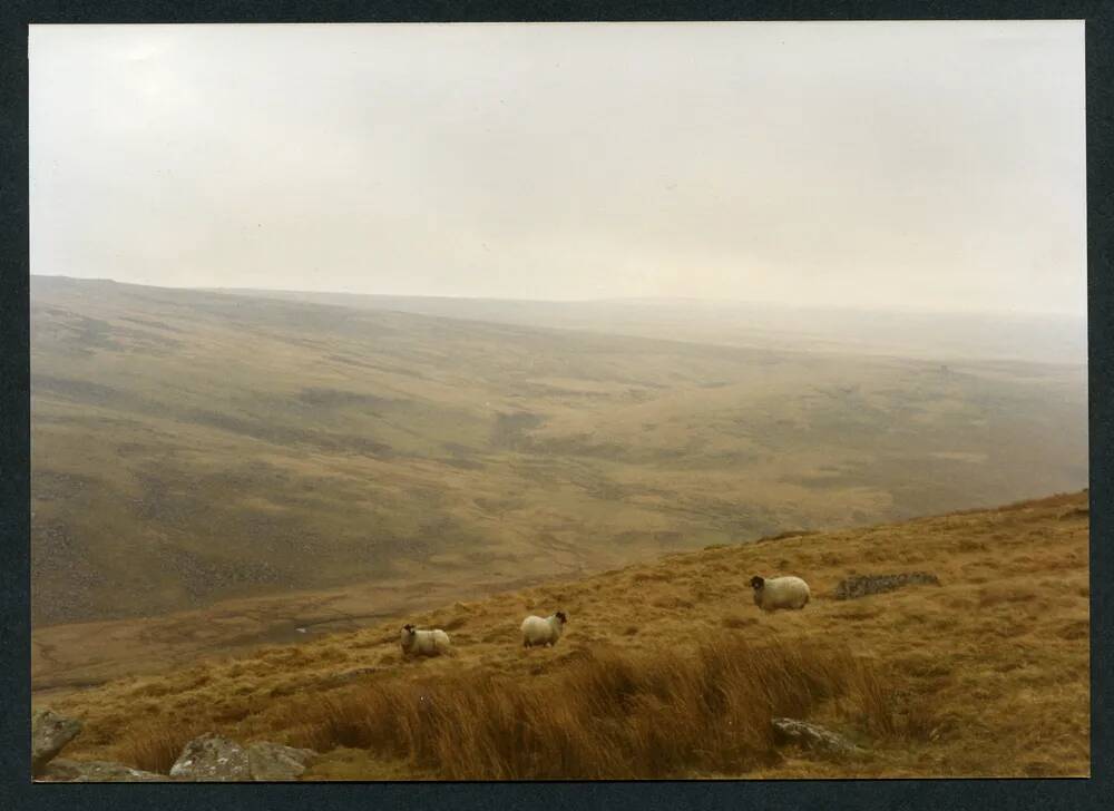 An image from the Dartmoor Trust Archive