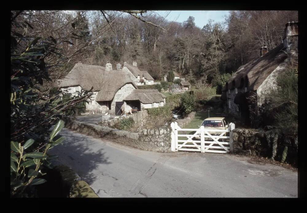 Buckland in the Moor