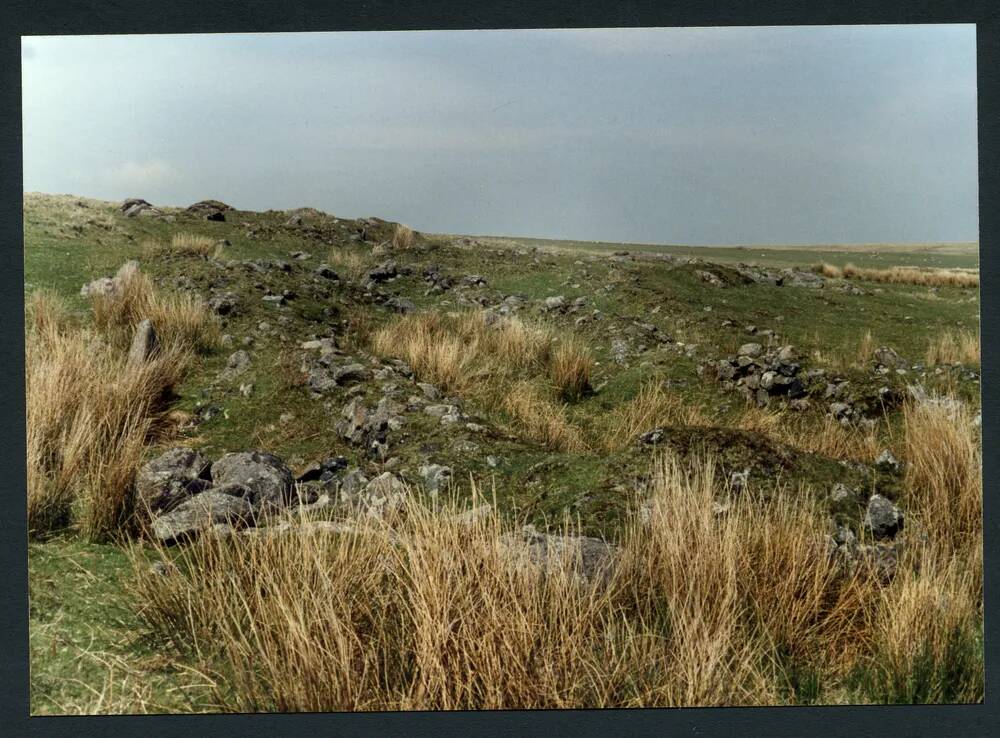 An image from the Dartmoor Trust Archive