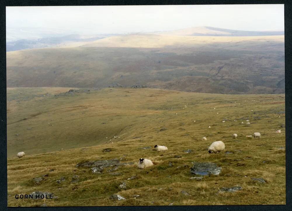 An image from the Dartmoor Trust Archive