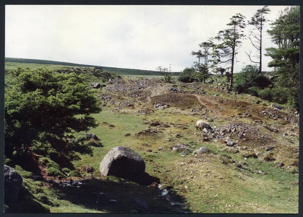 9/35 Tinners burrows below Glascombe Corner 20/6/1991