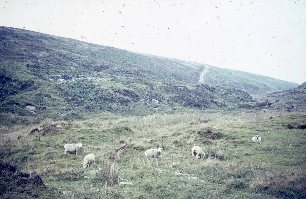 An image from the Dartmoor Trust Archive