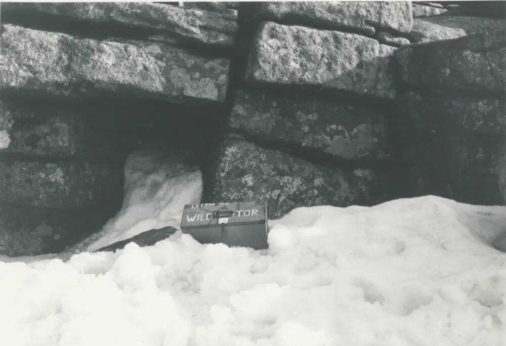 Wild Tor letterbox