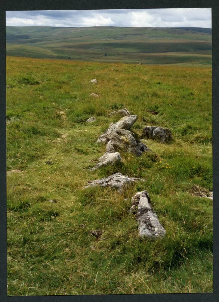 An image from the Dartmoor Trust Archive