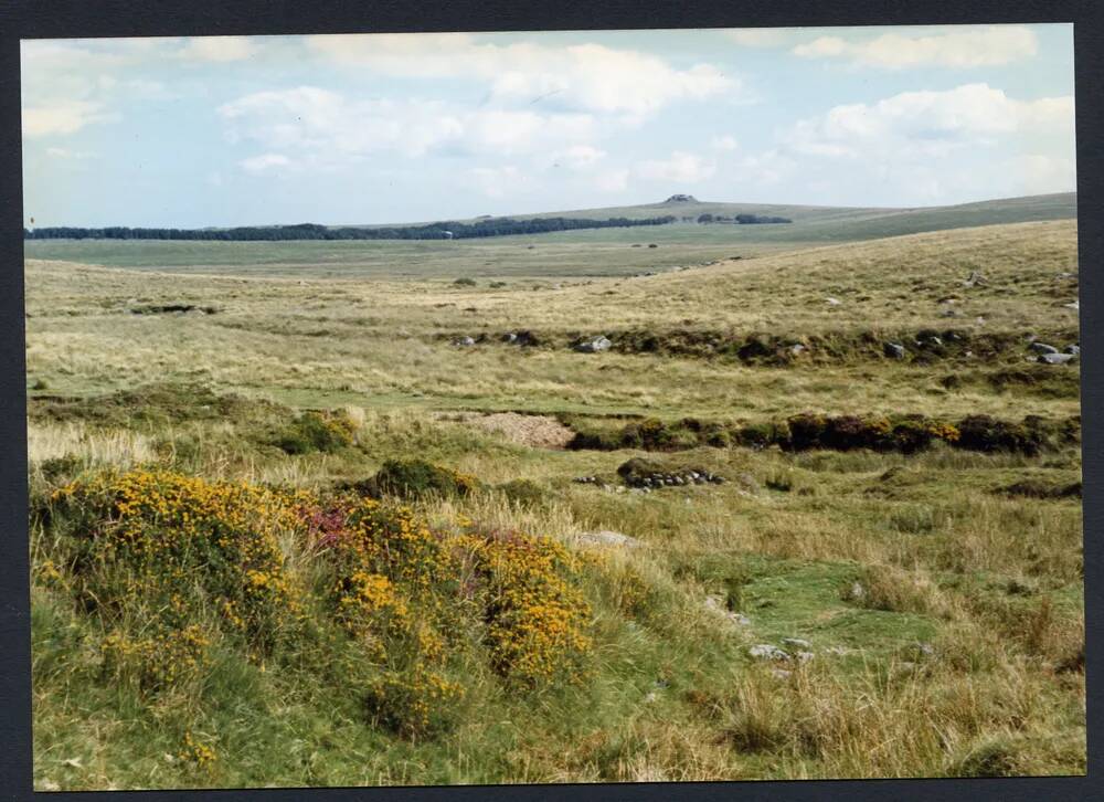 An image from the Dartmoor Trust Archive