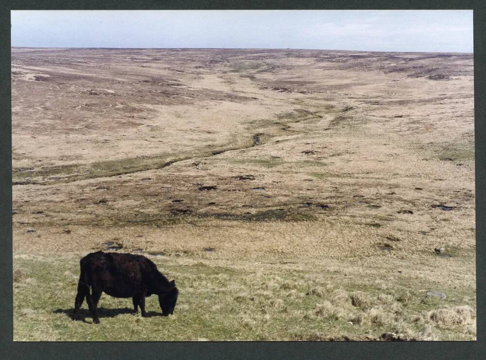 An image from the Dartmoor Trust Archive