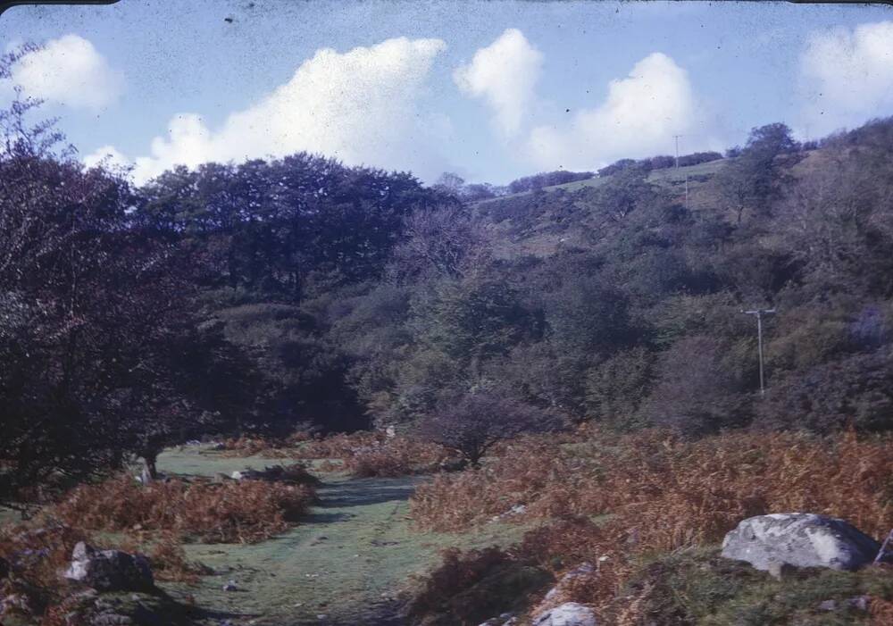 An image from the Dartmoor Trust Archive