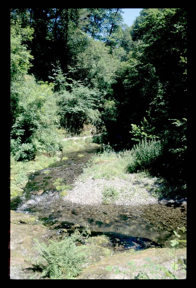 Lydford Gorge