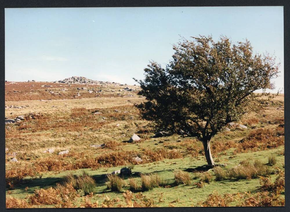 An image from the Dartmoor Trust Archive