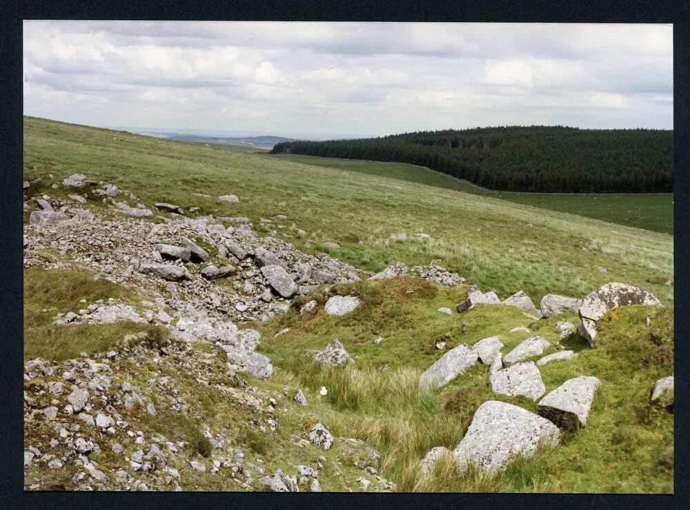 An image from the Dartmoor Trust Archive