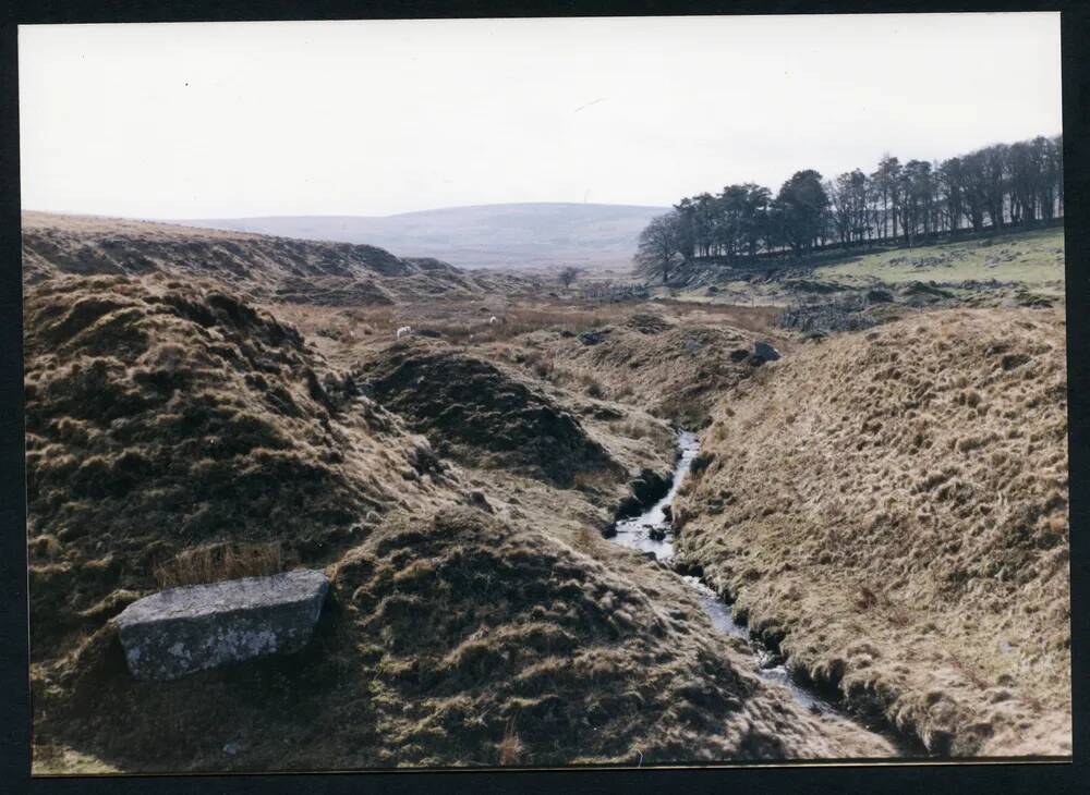 An image from the Dartmoor Trust Archive