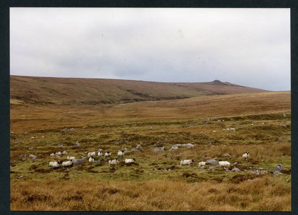 An image from the Dartmoor Trust Archive