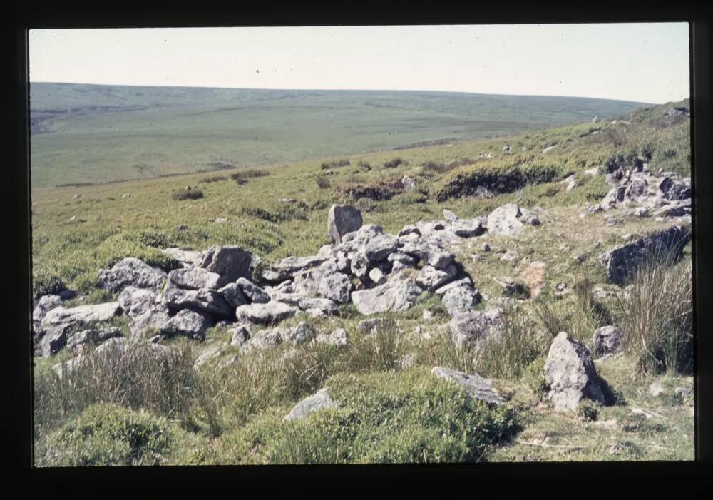 Hut Circle on left Bank of River Erme