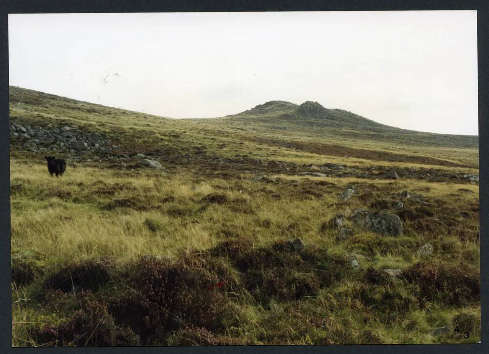 An image from the Dartmoor Trust Archive