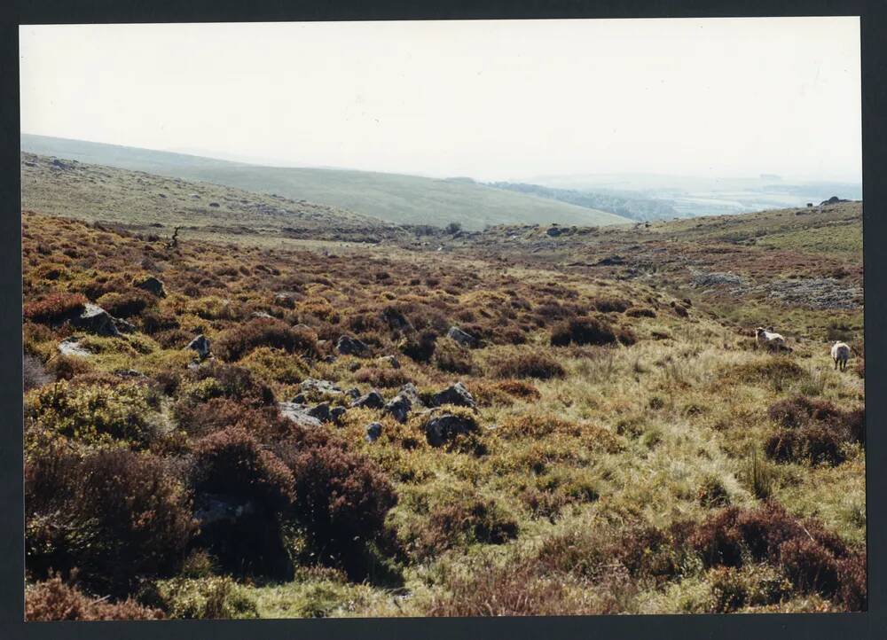 An image from the Dartmoor Trust Archive