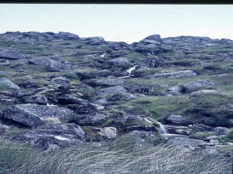 An image from the Dartmoor Trust Archive