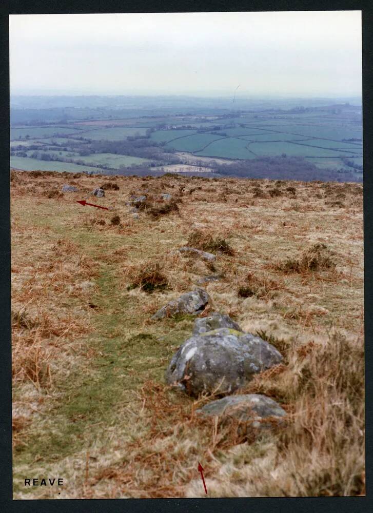 An image from the Dartmoor Trust Archive