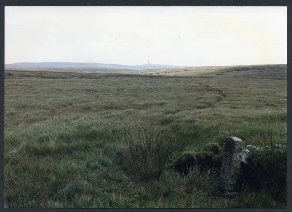 13/46 Philpotts Cut near source of Cut Hill Stream 18/8/1991