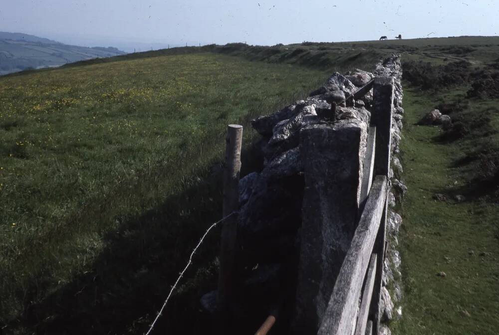 An image from the Dartmoor Trust Archive