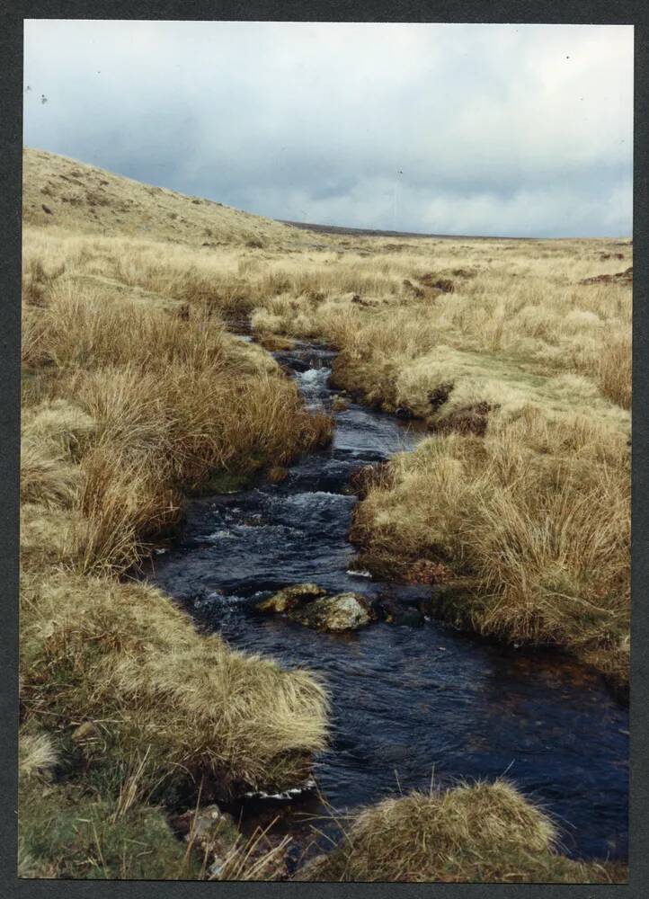 6/4 Above Brockhill ford 25/2/1994