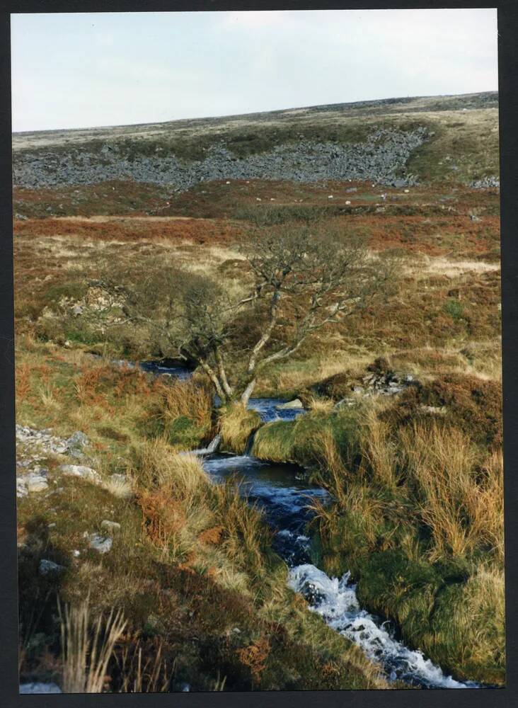 An image from the Dartmoor Trust Archive