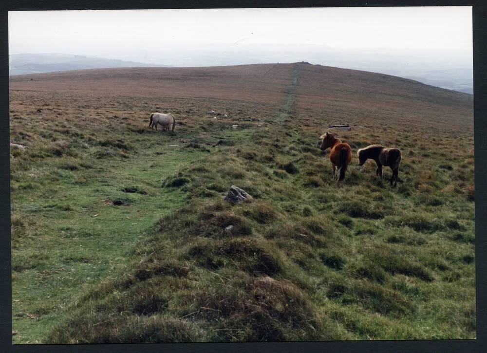 An image from the Dartmoor Trust Archive