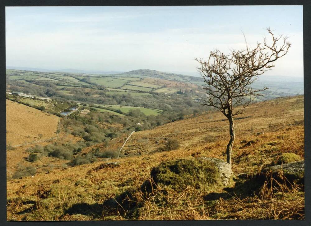 8/4 Above River Bank Bala Brook towards Brent Hill 7/3/1991