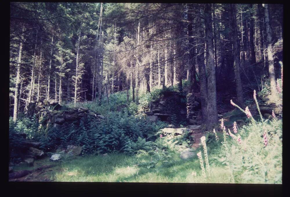 An image from the Dartmoor Trust Archive