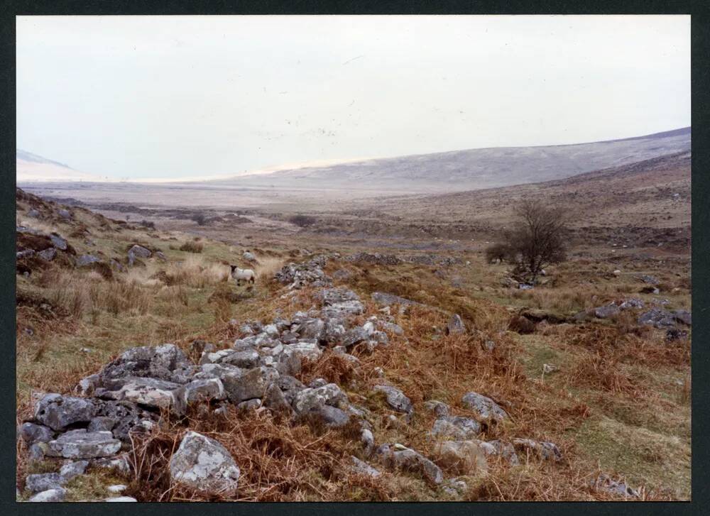 An image from the Dartmoor Trust Archive