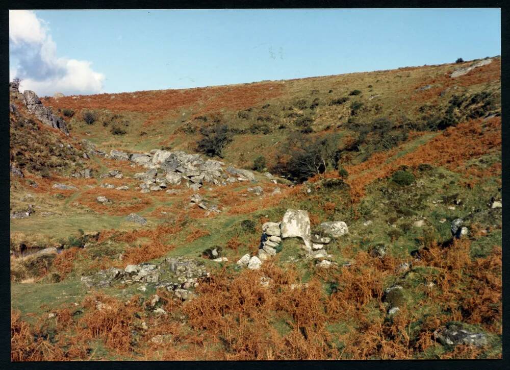 An image from the Dartmoor Trust Archive