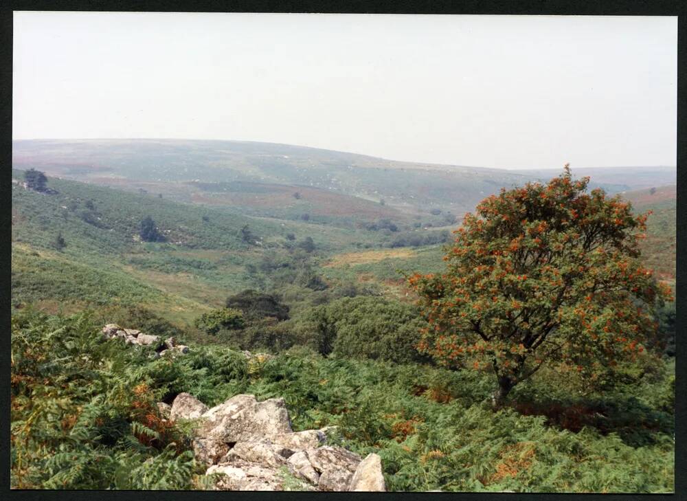 An image from the Dartmoor Trust Archive