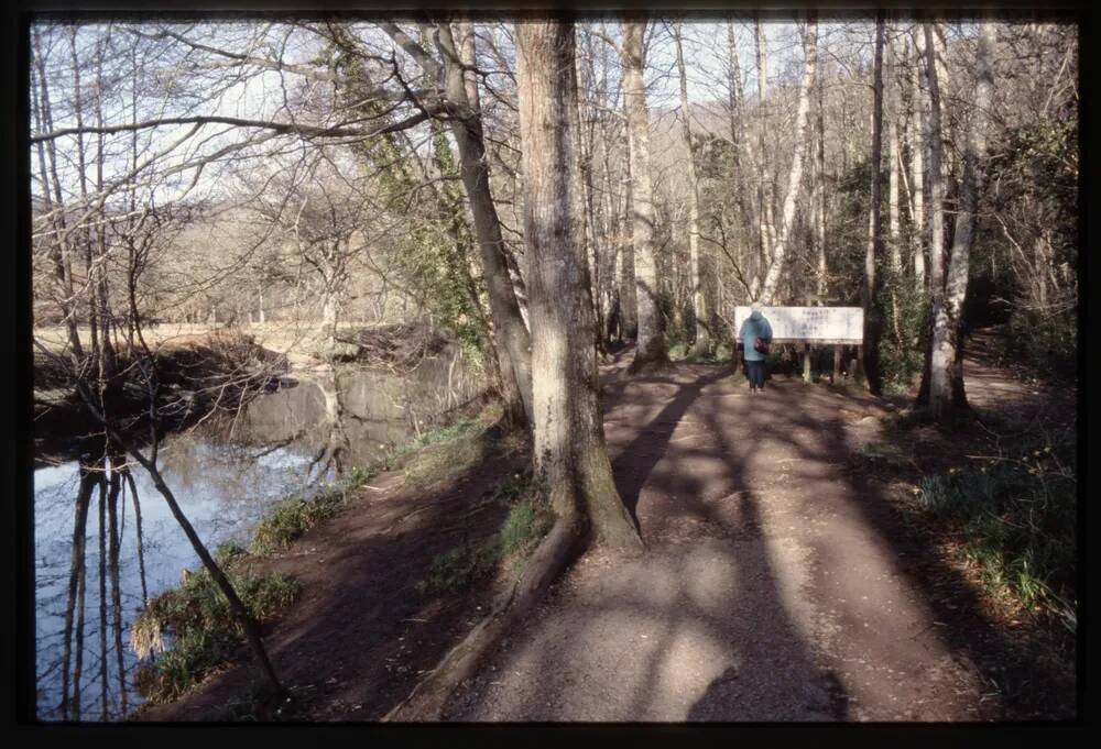 Steps Bridge Walk