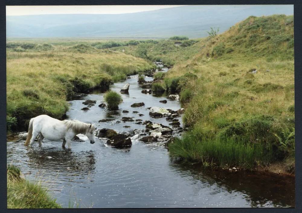 An image from the Dartmoor Trust Archive