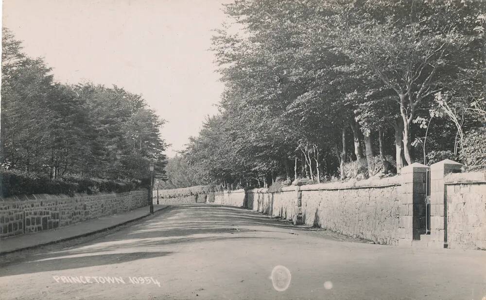 An image from the Dartmoor Trust Archive