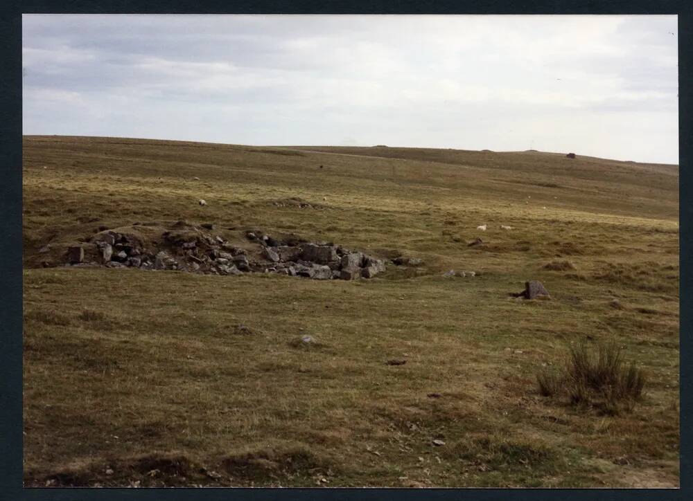 An image from the Dartmoor Trust Archive