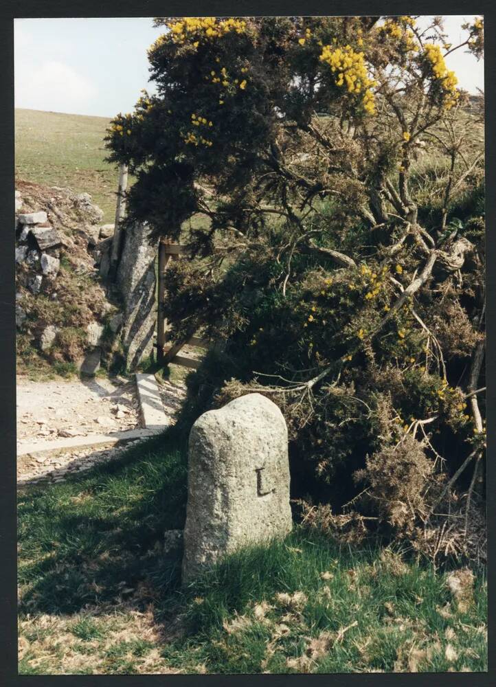 An image from the Dartmoor Trust Archive