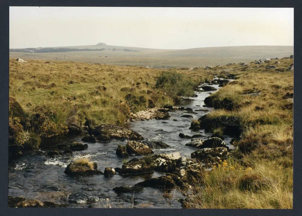 An image from the Dartmoor Trust Archive