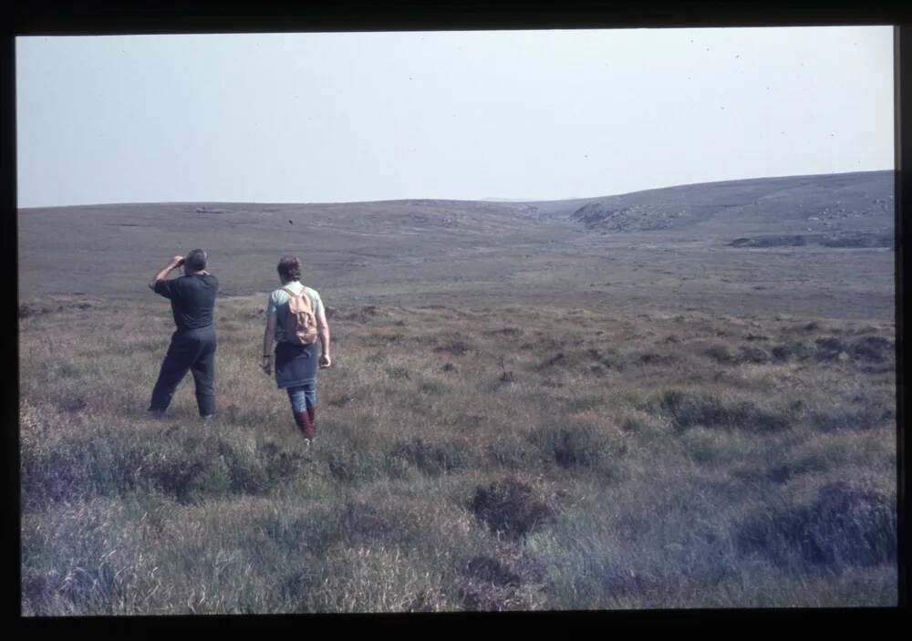 Marsh Hill near Sandy Hole