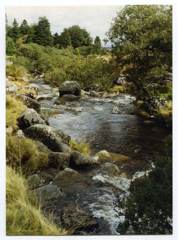 An image from the Dartmoor Trust Archive