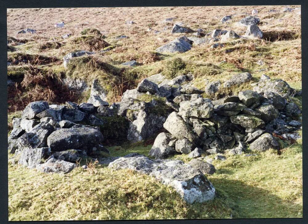 An image from the Dartmoor Trust Archive