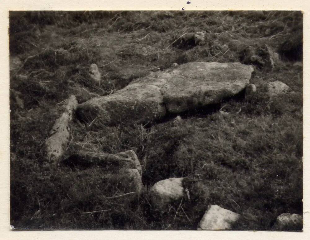 Kist south of Langcombe Brook, opposite Grim's Grave 