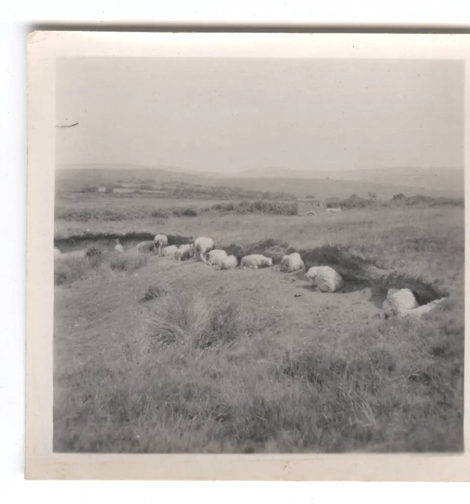 An image from the Dartmoor Trust Archive