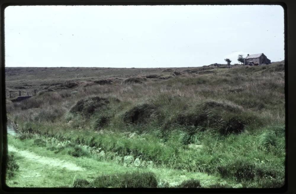 Leat at Nuns Cross