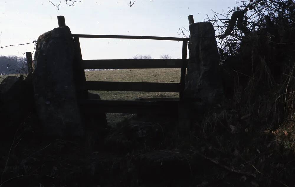 An image from the Dartmoor Trust Archive