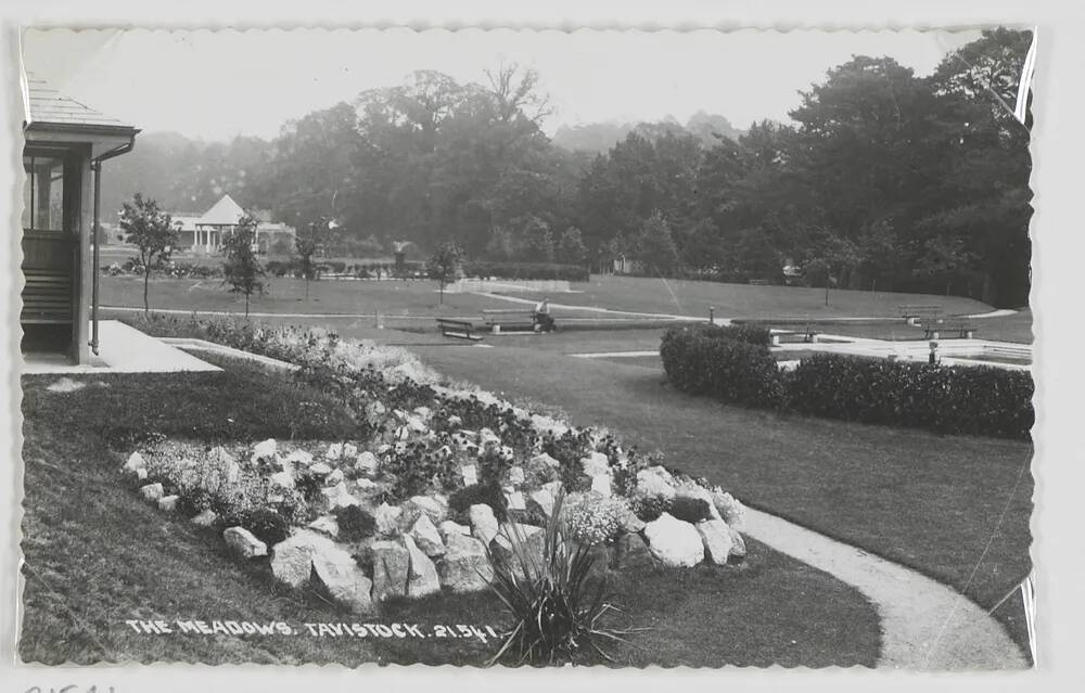 Tavistock   -The meadows